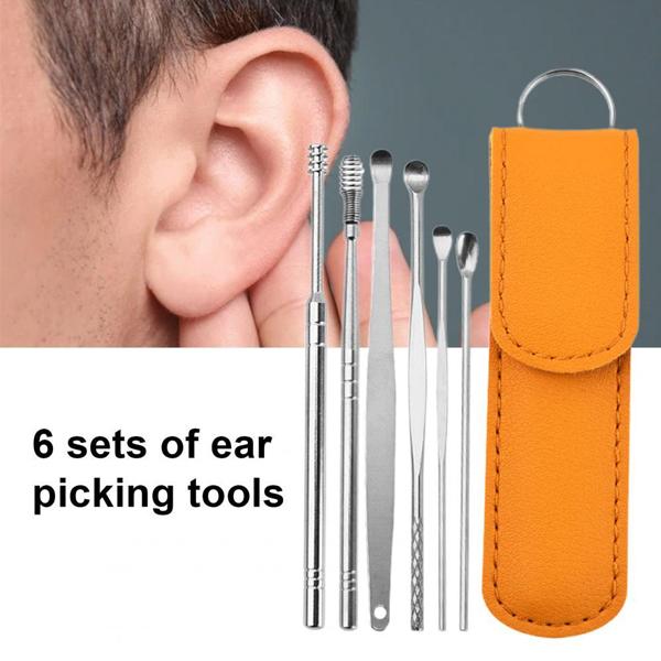 6-Piece Stainless Steel Ear Pick Set with Leather Case